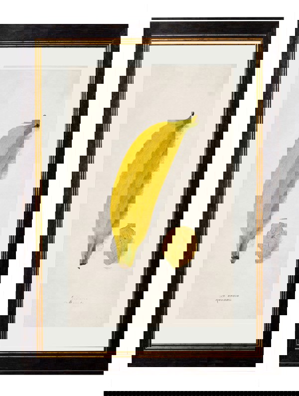 Exceptional Art c.1886 Studies of Fruit