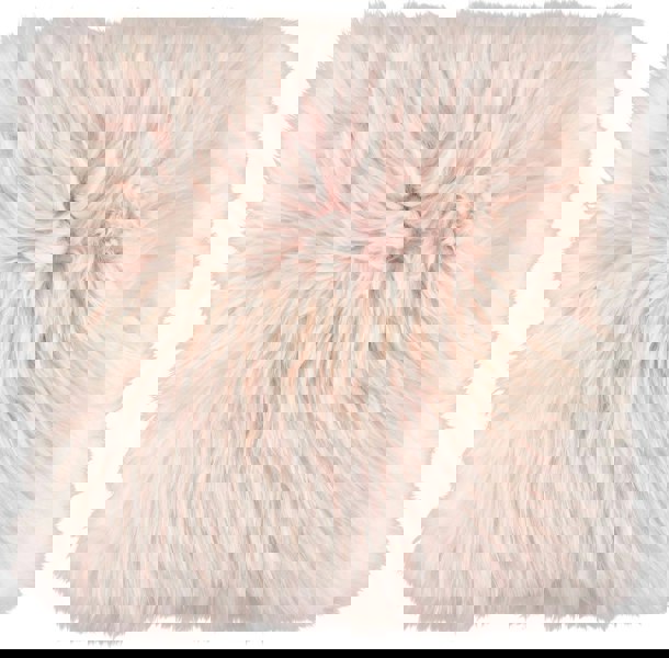 Long-Wool Sheepskin Cushion | 35x35 cm Candy