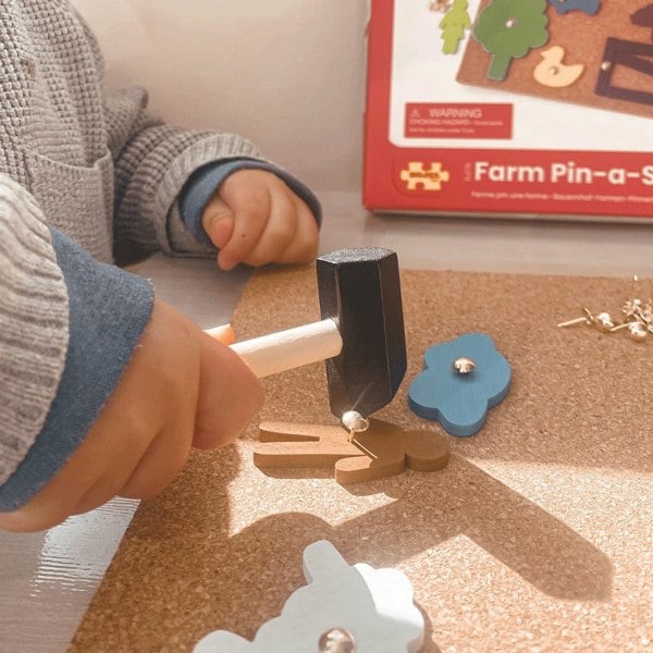 Bigjigs Toys Farm Pin-a-Shape