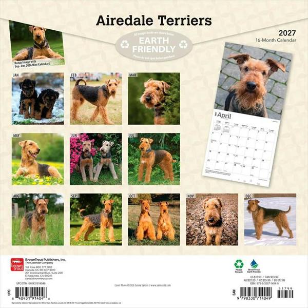 Airedale Terriers Calendar 2027, Wall Calendars, Month To View, Dogs, Gift