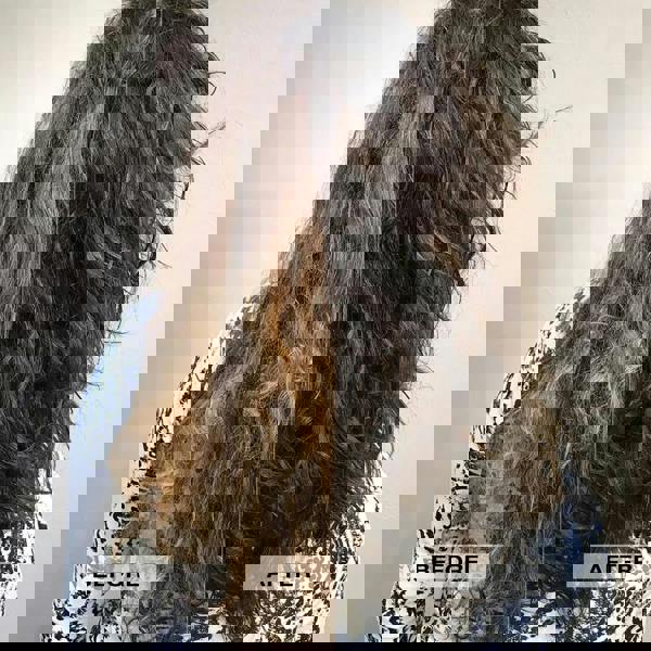  L'Anza Healing Style Design Foam 200ml