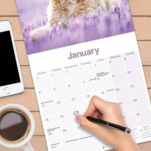 Cockapoo Calendar 2027, Wall Calendars, Month To View, Dogs, Gift