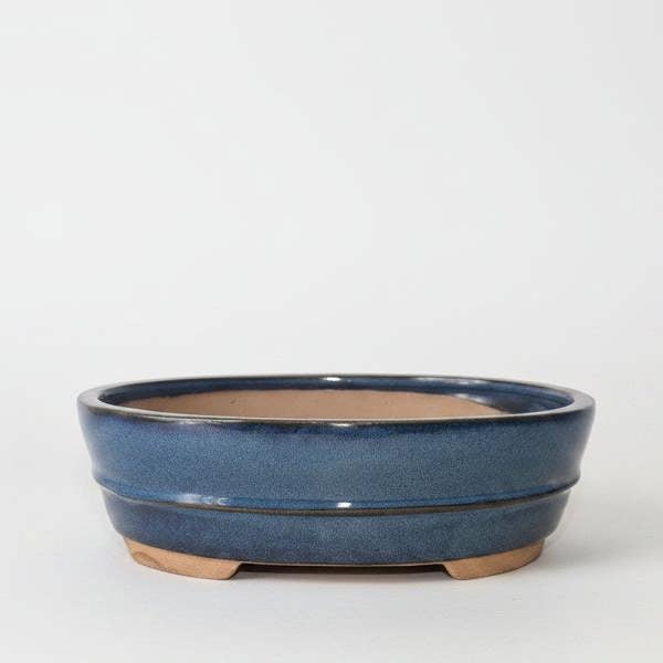 26cm Glazed Bonsai Pot | Oval | 26cm x 20cm x 8cm | Blue - Yorkshire Bonsai