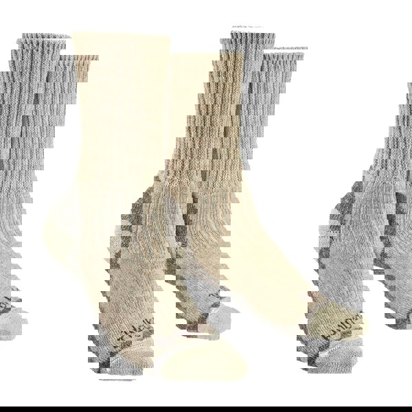 t4option1_1
