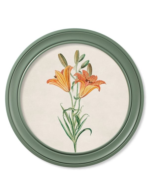 Exceptional Art c.1780 Flowering Plants Round Frame Green