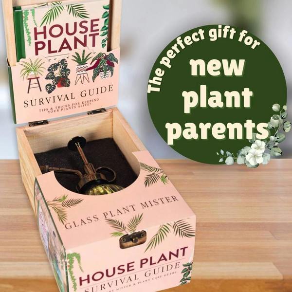 Houseplant Survival Gift Set - alternative angle