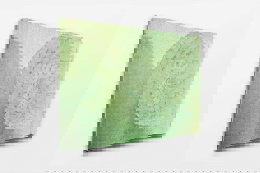 fossil wall art print