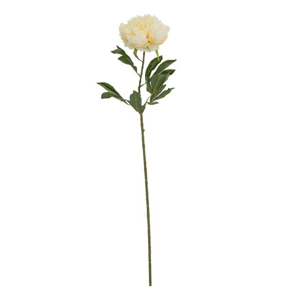 Wyld Haus Set of 3 Artificial Flowers Large Buttermilk Double Peony Stems