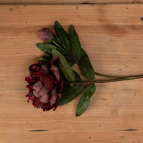 Wyld Haus Set of 3 Artificial Flowers Burgundy Peony Rose Stems