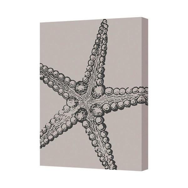 Benjamin Tate Design Starfish Canvas Wall Art Print Ocean Beach Decor CANVAS-8681