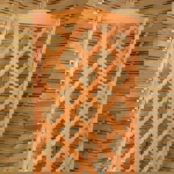 Samuel Alexander 1.6m Samuel Alexander Natural Wooden Freestanding Garden Trellis with Raised Bed Planter