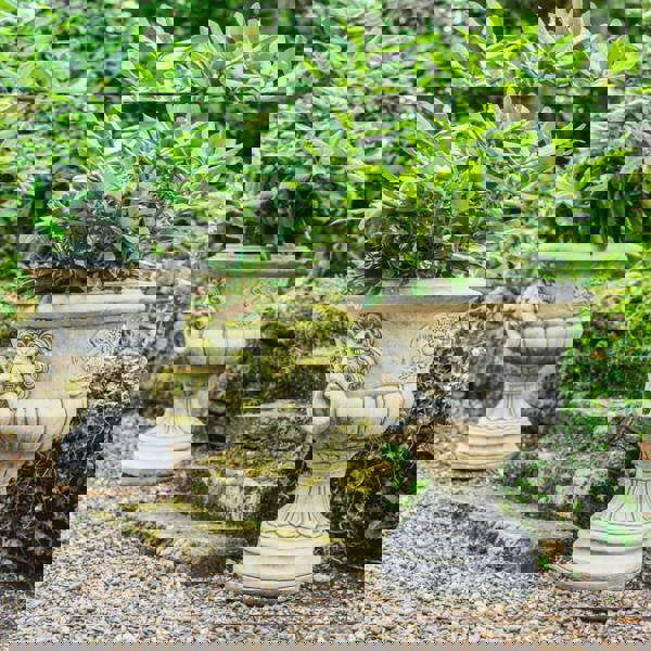 Pair of Lion Head design Stone Vases