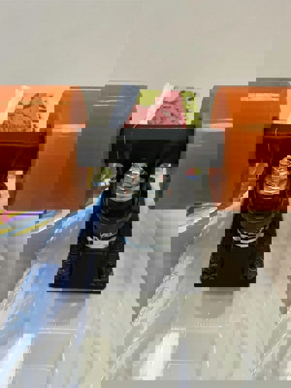 Gotcha Skateboard Gotcha Icons Never Die Complete Cruiser Skateboard 22 Inch