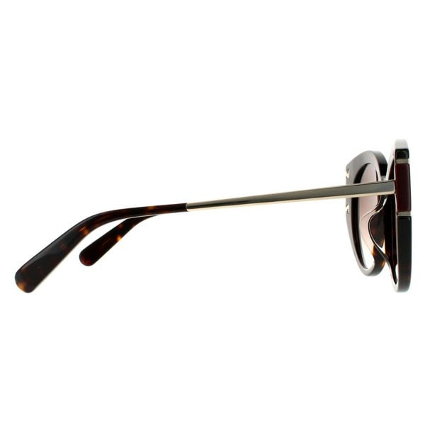 Salvatore Ferragamo Sunglasses SF840SA 214 Tortoise Brown Gradient