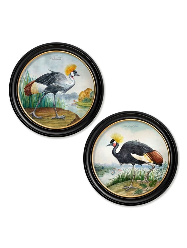Exceptional Art Audubon Style Cranes in Round Frames