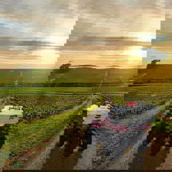 Maxblast 60L ATV Sprayer