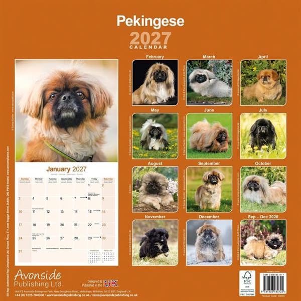 Pekingese Calendar 2027, Wall Calendars, Month To View, Dogs, Gift