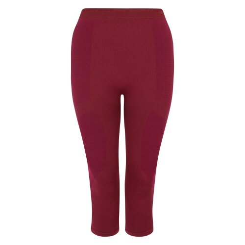Dare 2B Womens/Ladies In The Zone II Panel 3/4 Leggings - Fig - Fig