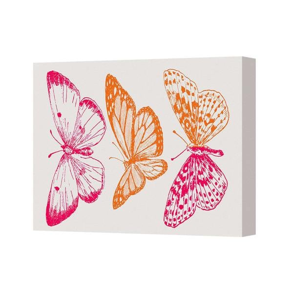 Benjamin Tate Design Three Colorful Butterflies Canvas Wall Art For Modern Home Decor