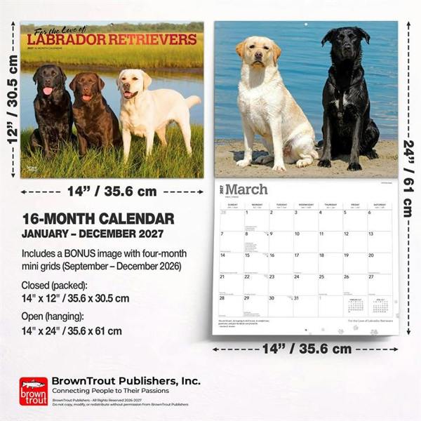 For The Love Of Labrador Retrievers Deluxe Calendar 2027, Deluxe Calendars, Month To View, Dogs, Gift