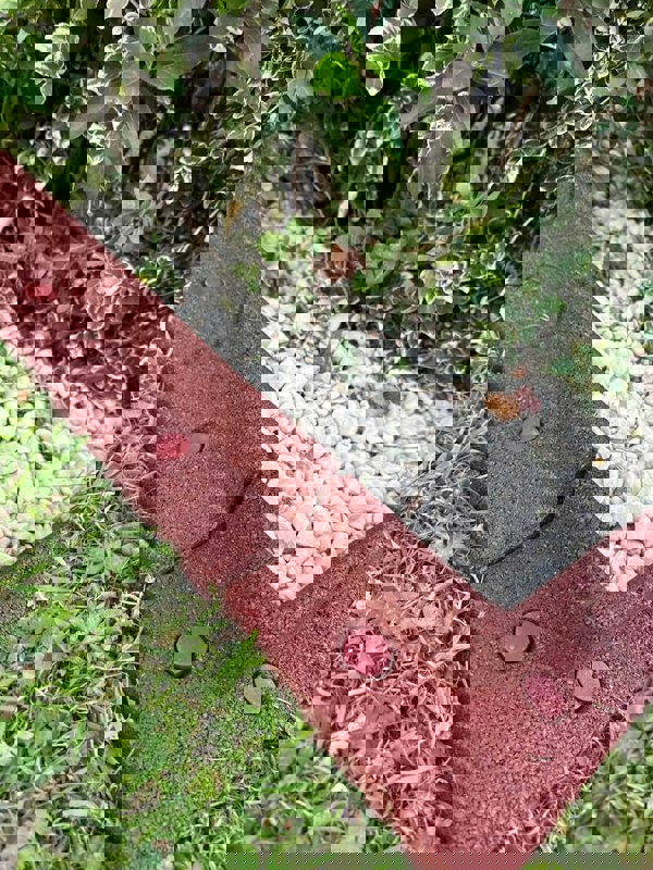 FlexiBorder Outside Corner Box of 2 Terracotta