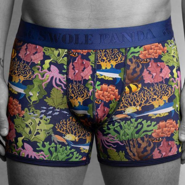 SWOLE PANDA Marine Bamboo Boxer Brief in Multicolour/blue