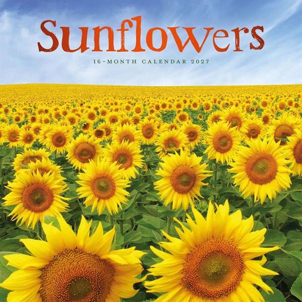 Sunflowers Calendar 2027, Wall Calendars, Month To View, Lifestyle, Gift