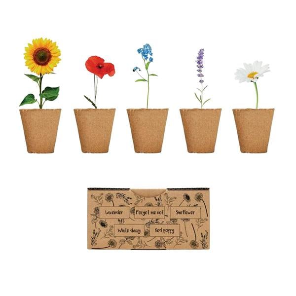 MidOcean Flowers Flower Seeds - Beige - 