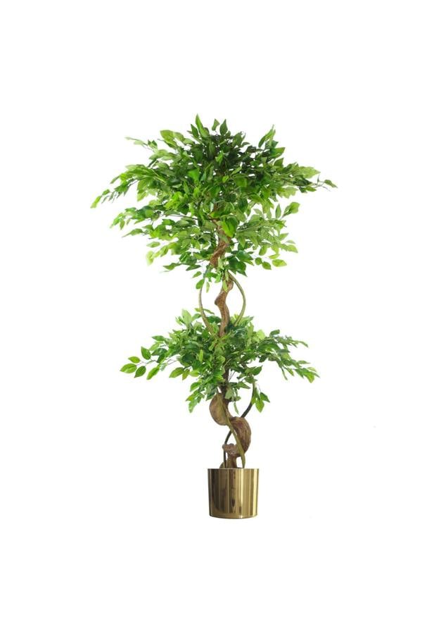 Dyzi 150cm Artificial Tree with Twisted Trunk and Metal Planter
