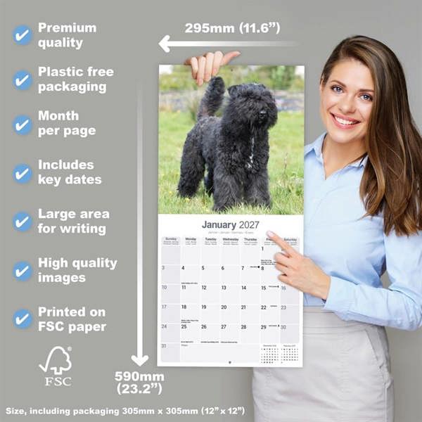 Bouvier Des Flandres Calendar 2027, Wall Calendars, Month To View, Dogs, Gift