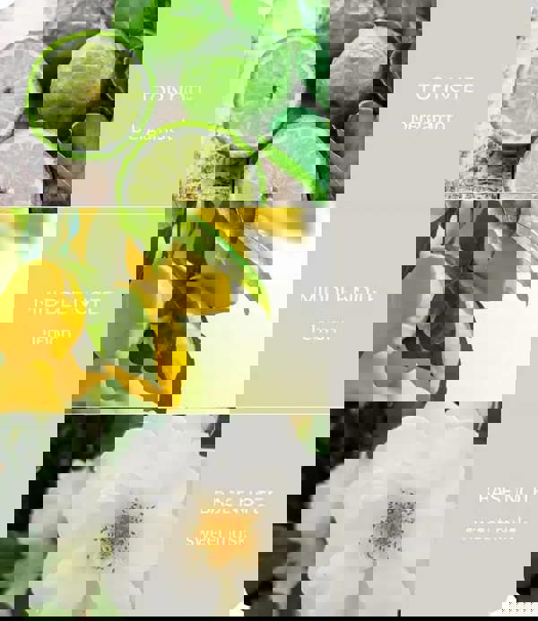 Heart & Home Guardian Angel - Fragrance Diffuser