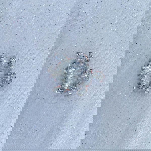 Turtle brooch pink silver