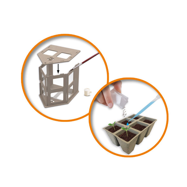 SES Creative Greenhouse veggies