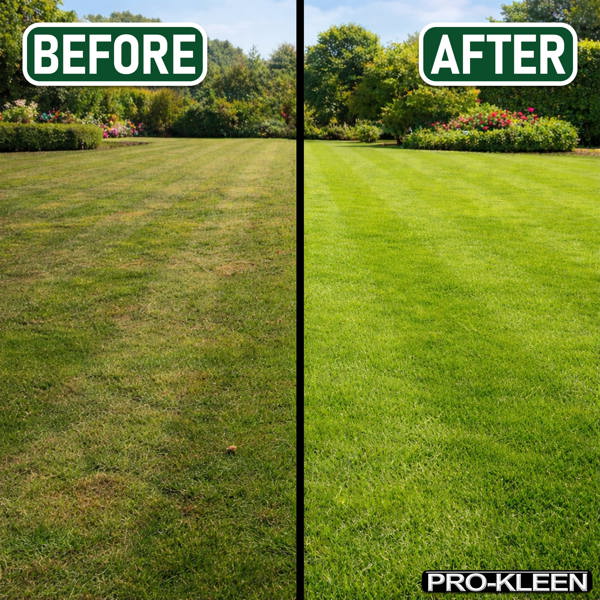 ProKleen Pro-Kleen Professional Lawn Sand 5:0:0 + 3% Iron Fast Greening, Thicker, Healthier & Stronger Grass