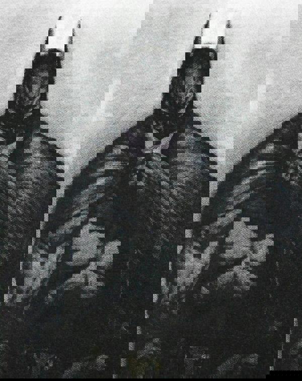 DC Comics Mens White Batman Short Sleeved T-Shirt