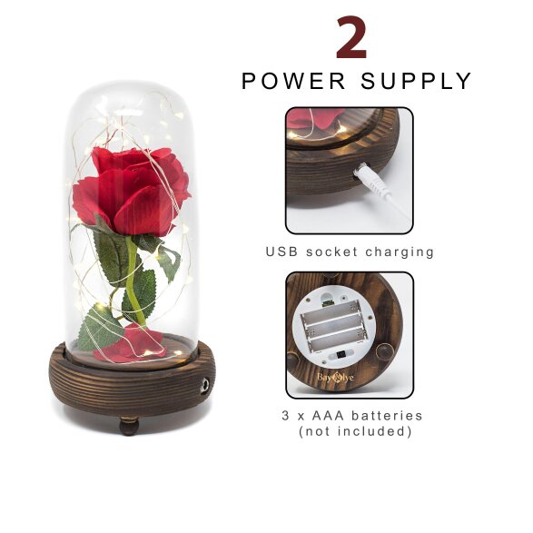 smartbies Enchanted Rose in Glass Gift set With Notebook USB Cable or Battery Powered