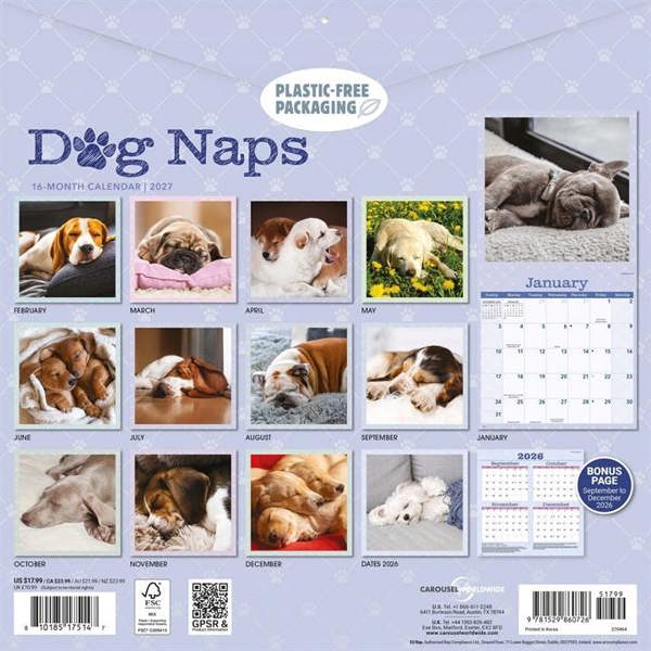 Dog Naps Calendar 2027, Wall Calendars, Month To View, Dogs, Gift