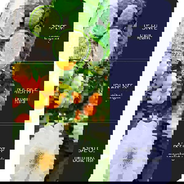 Heart & Home Mini Candle Collection -  Gift Set