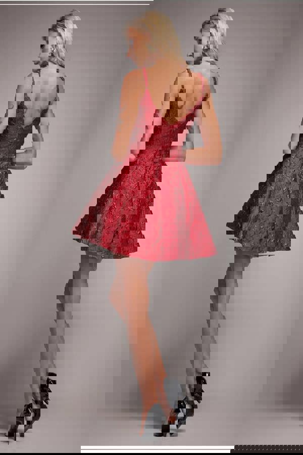 Jacquard Sleeveless A-line Mini Dress - Red DR3433