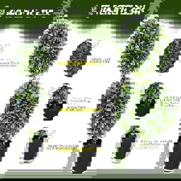 Artificial Pruned Plants