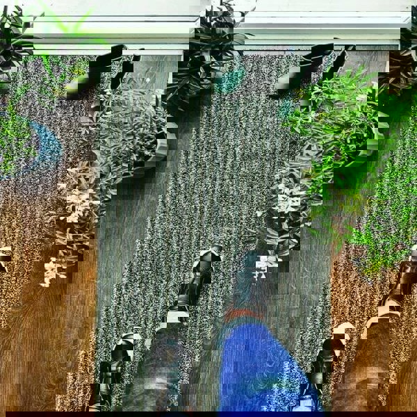 The Rugs Washable Multicolour Stripe Mat | Eco-Friendly Home