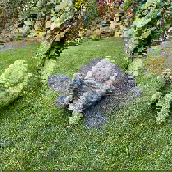 Medium Stone Cast Tortoise Garden Ornament