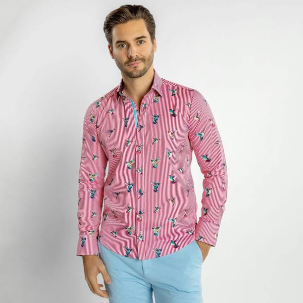 HUMMINGBIRD STRIPED PRINT SHIRT – Premium Men's Patterned Shirt by Claudio Lugli | Bold Design, Tailored Fit, Best Printed Shirts