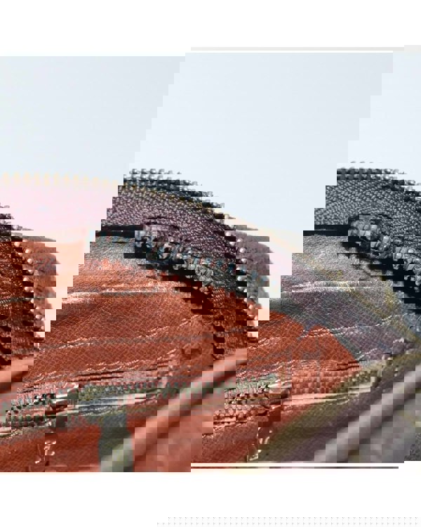 193973379.jpg