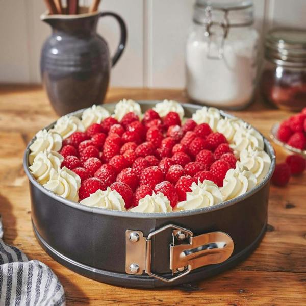 1 x 22cm Non-Stick Springform 9 Inch Cake Pan Round Bake Ware Tin