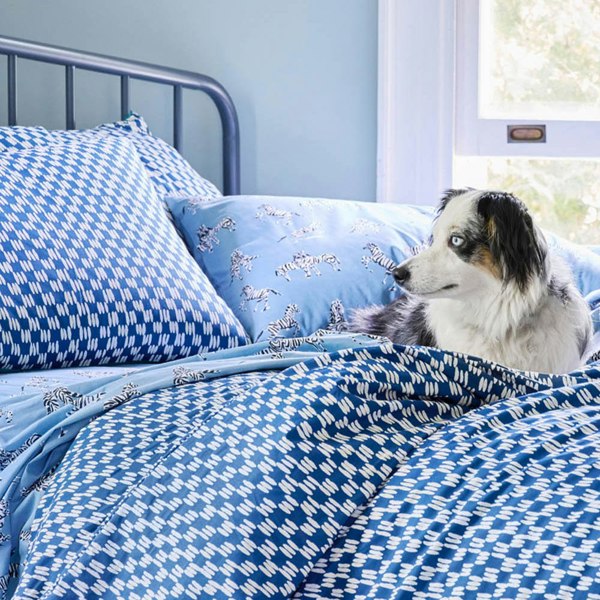 Novogratz Petite Painted Check Duvet Cover Set