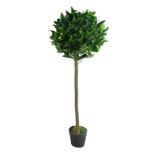 Leaf 120cm (4ft) Plain Natural Trunk Artificial Topiary Bay Laurel Ball Tree