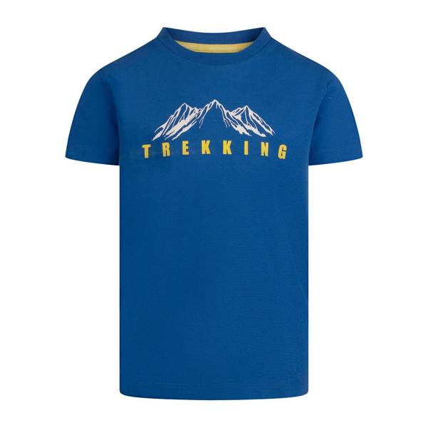 Trespass Boys Majestic T-Shirt - Blue - 