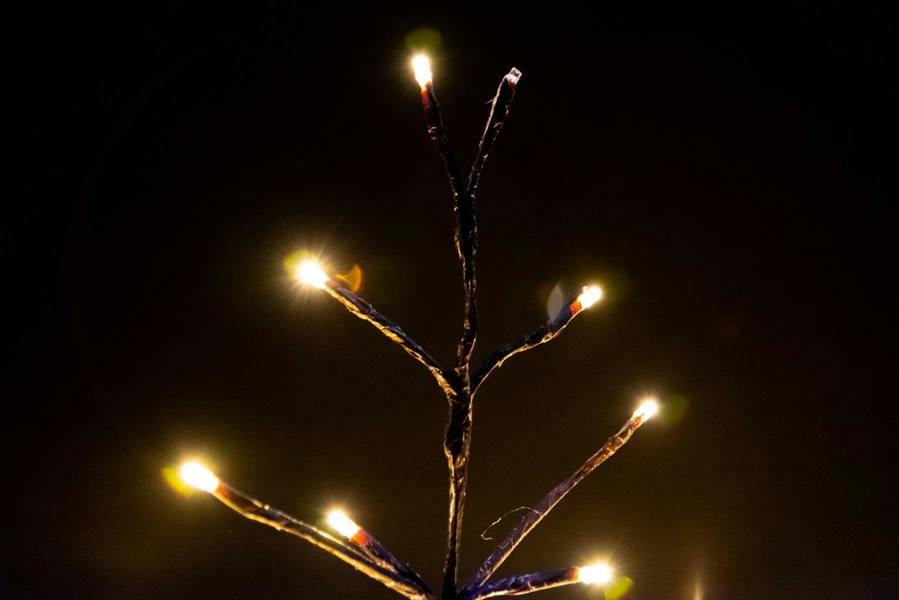4ft to 6ft Pre-Lit Snowy Brown Twig Tree with Warm and Cool White LED Lights image 4
