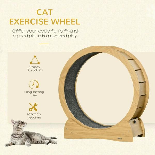 Natural wood cat exercise wheel with dark inner track and angled base